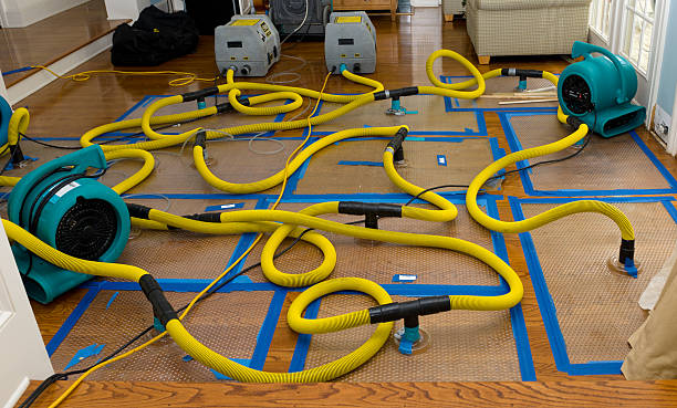 Professional Burst Pipe Water Damage technician working in Brownsville, LA